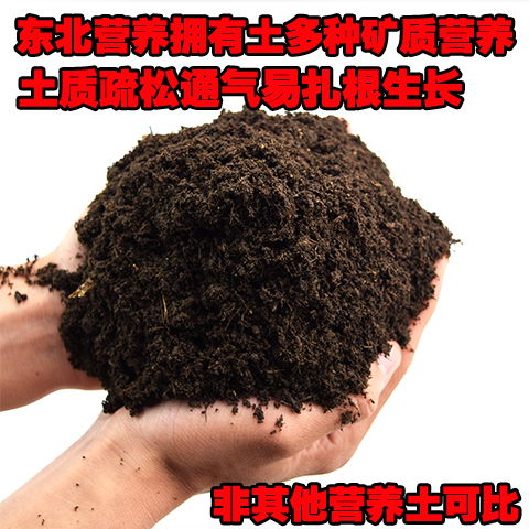 多肉營(yíng)養(yǎng)花土配制