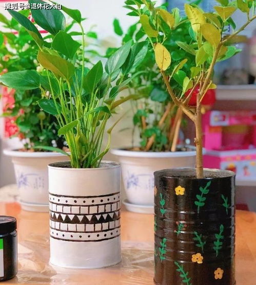 陽(yáng)臺(tái)養(yǎng)花用什么花盆好
