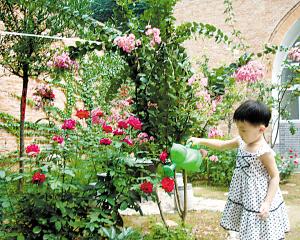 養(yǎng)花語言親切