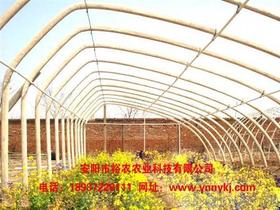 農村養(yǎng)花的大棚
