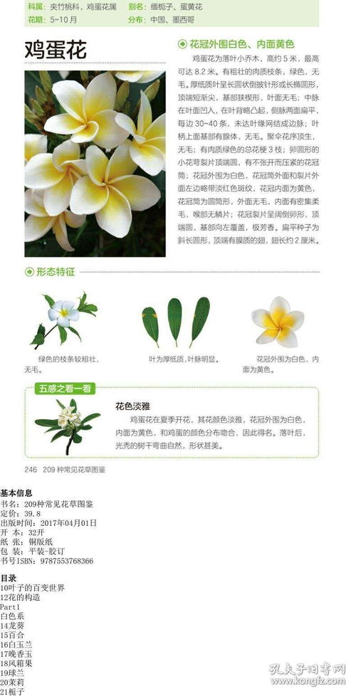 養(yǎng)花參考書(shū)籍