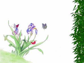 養(yǎng)花中老舍為什么要感謝花朵