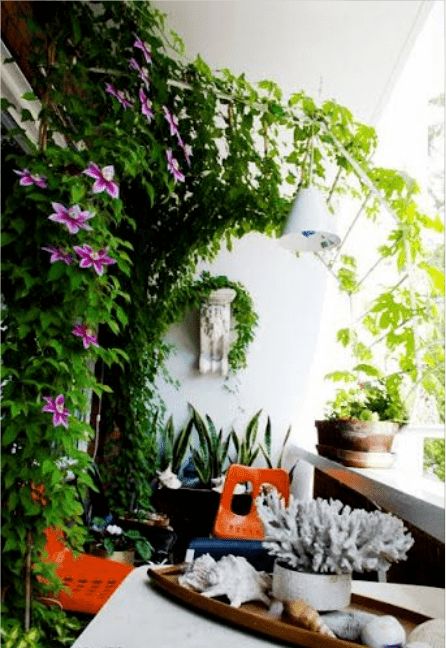 陽(yáng)臺(tái)室外安裝養(yǎng)花架