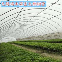 養(yǎng)花大棚北京