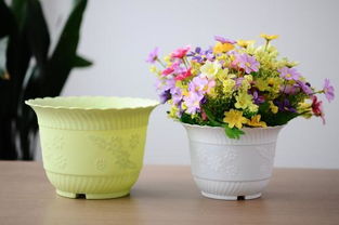 家庭養(yǎng)花大全什么樣花好
