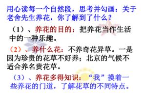 養(yǎng)花老舍課前導入
