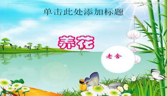 簡(jiǎn)要概括養(yǎng)花的樂(lè)趣ppt