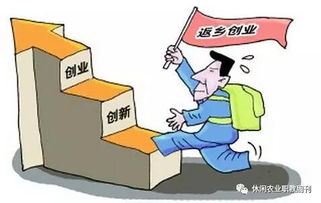 返鄉(xiāng)下鄉(xiāng)創(chuàng)業(yè)創(chuàng)新總結
