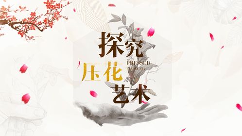 大學生創(chuàng)新創(chuàng)業(yè)基礎教育智慧樹答案