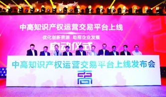 打造平臺激發(fā)創(chuàng)新創(chuàng)業(yè)活力