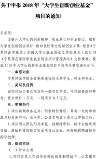 本科生,申請(qǐng)書,創(chuàng)業(yè)計(jì)劃,創(chuàng)新