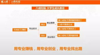 創(chuàng)新創(chuàng)業(yè)中心信息管理系統(tǒng)功能,創(chuàng)新創(chuàng)業(yè)中心信息管理系統(tǒng)課程設(shè)計(jì),創(chuàng)新創(chuàng)業(yè)項(xiàng)目信息管理系統(tǒng)