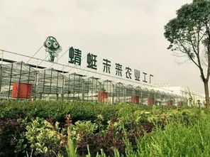 返鄉(xiāng)創(chuàng)新創(chuàng)業(yè)基地建設方案