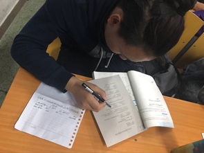 創(chuàng)新,調查,創(chuàng)業(yè),大學生