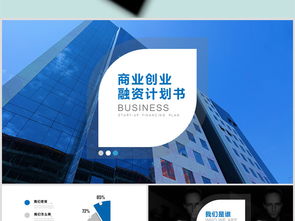 大學(xué)生創(chuàng)新創(chuàng)業(yè)融資計劃書模板范文