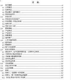 眼鏡創(chuàng)新創(chuàng)業(yè)計劃書