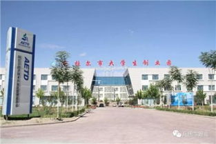 內(nèi)蒙古創(chuàng)新創(chuàng)業(yè)學院,內(nèi)蒙古創(chuàng)新創(chuàng)業(yè)大賽獲獎作品,內(nèi)蒙古大學生創(chuàng)新創(chuàng)業(yè)