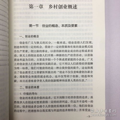 香囊,計劃書,創(chuàng)新,創(chuàng)業(yè)