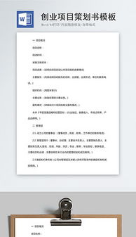 創(chuàng)新創(chuàng)業(yè)項(xiàng)目計(jì)劃書800字左右