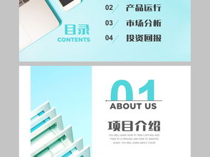 計劃書,融資,模板,創(chuàng)新