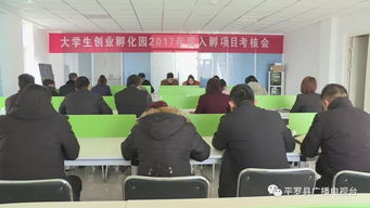 工作總結(jié),創(chuàng)新,創(chuàng)業(yè),孵化園