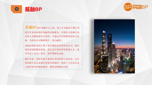 計劃書,創(chuàng)新,電子商務(wù),創(chuàng)業(yè)