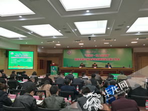 重慶市大學(xué)生創(chuàng)新創(chuàng)業(yè),重慶市大學(xué)生創(chuàng)新創(chuàng)業(yè)服務(wù)網(wǎng),重慶市大學(xué)生創(chuàng)新創(chuàng)業(yè)訓(xùn)練計(jì)劃