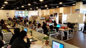 公司創(chuàng)新創(chuàng)業(yè)孵化實(shí)訓(xùn)基地