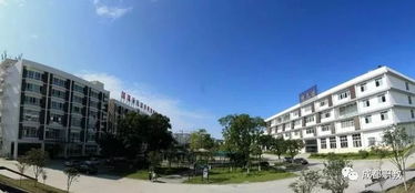 四川交通職業(yè)技術(shù)學(xué)院創(chuàng)新創(chuàng)業(yè)學(xué)院的認(rèn)識