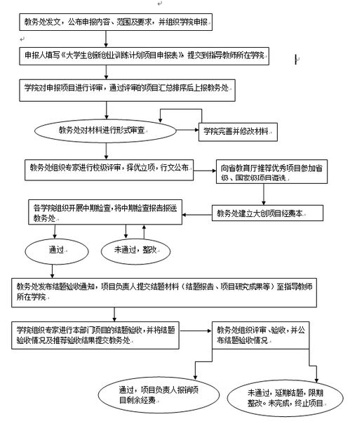 執(zhí)行情況,過程中,創(chuàng)業(yè)項(xiàng)目,財(cái)務(wù)