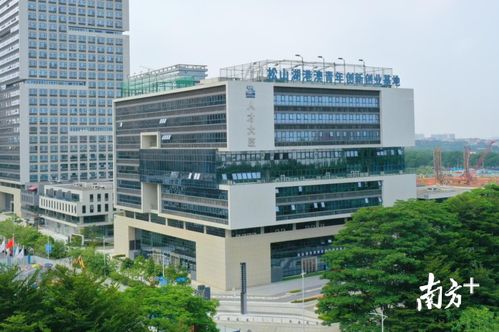 白云區(qū)港澳青年創(chuàng)新創(chuàng)業(yè)基地,南沙港澳青年創(chuàng)新創(chuàng)業(yè)基地,廣州港澳青年創(chuàng)新創(chuàng)業(yè)基地