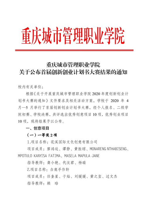 計劃書,創(chuàng)業(yè)項目,團隊,創(chuàng)新