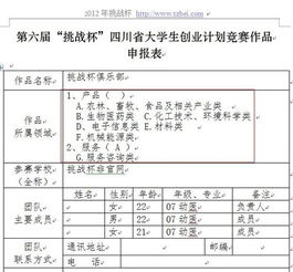 計劃書,挑戰(zhàn)杯,創(chuàng)新,創(chuàng)業(yè)