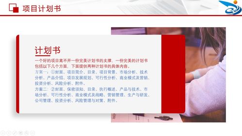 互聯(lián)網(wǎng),計(jì)劃書(shū),創(chuàng)業(yè)項(xiàng)目,加大