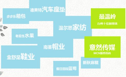 直播帶貨創(chuàng)業(yè)計劃書(大學(xué)生版),鄉(xiāng)村直播帶貨創(chuàng)業(yè)計劃書,直播帶貨syb創(chuàng)業(yè)計劃書