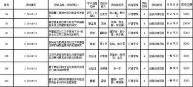 開支,經(jīng)費,創(chuàng)業(yè)項目,情況