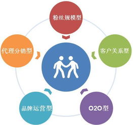 描述,關(guān)系,創(chuàng)新,創(chuàng)業(yè)