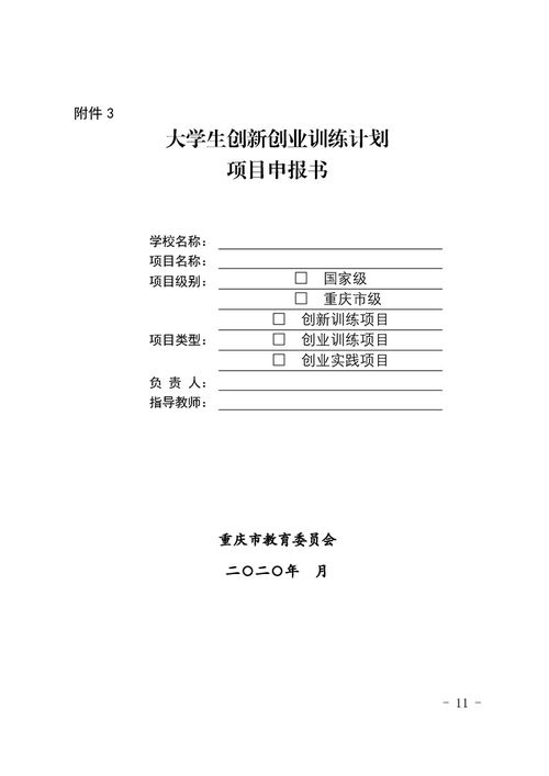計劃書,創(chuàng)業(yè)項目,創(chuàng)新,大學生