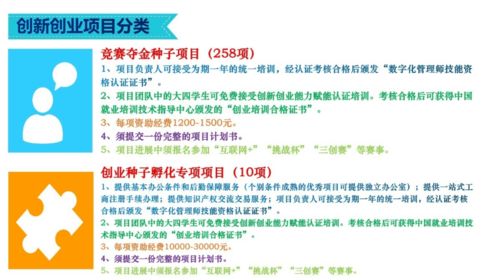 增強創(chuàng)新創(chuàng)業(yè)能力計劃