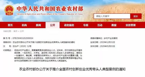 創(chuàng)業(yè)機(jī)會,案例,類型,創(chuàng)新