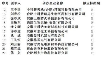 創(chuàng)業(yè)項(xiàng)目管理模式怎么寫,創(chuàng)新創(chuàng)業(yè)項(xiàng)目管理模式,大學(xué)生創(chuàng)新創(chuàng)業(yè)項(xiàng)目管理