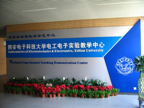 科學技術(shù)與創(chuàng)新創(chuàng)業(yè)學生評價大學生,科學技術(shù)與創(chuàng)新創(chuàng)業(yè)自我評價,科學技術(shù)與創(chuàng)新創(chuàng)業(yè)評語