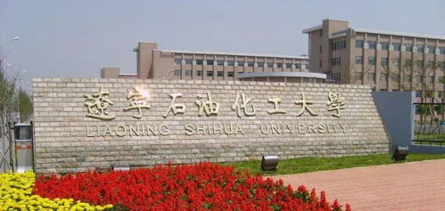 遼寧,石油,化工大學,創(chuàng)新