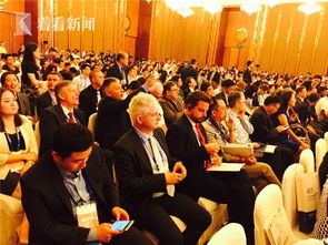 創(chuàng)新創(chuàng)業(yè)公司的組織形式