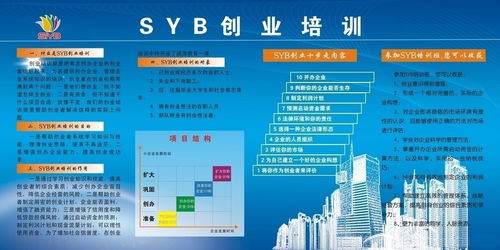指導(dǎo),創(chuàng)新,創(chuàng)業(yè),syb