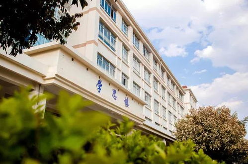 云南大學,學院,校區(qū),滇池