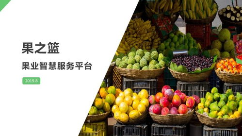 創(chuàng)新創(chuàng)業(yè)計(jì)劃書(shū)大學(xué)生直播