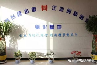 創(chuàng)新創(chuàng)業(yè)基地運(yùn)營專員,創(chuàng)新創(chuàng)業(yè)運(yùn)營分析,創(chuàng)新創(chuàng)業(yè)運(yùn)營計(jì)劃