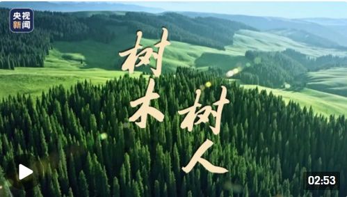 樹(shù)人樹(shù)木創(chuàng)業(yè)創(chuàng)新