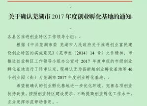 蕪湖市創(chuàng)新創(chuàng)業(yè)人才認(rèn)定補(bǔ)貼